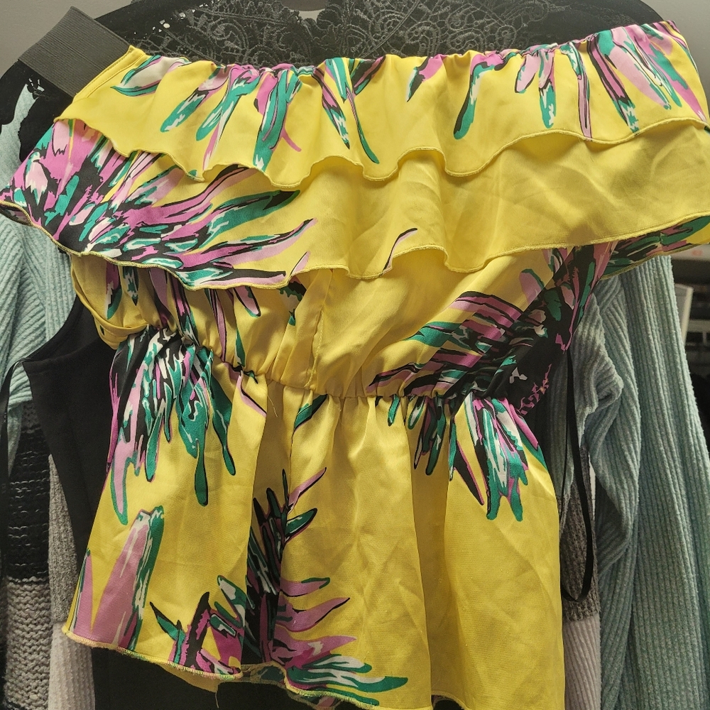 Baby phat crop top